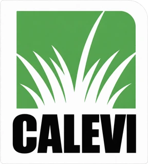 CALEVI